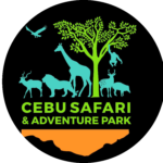 safari logo-01